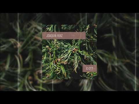Dynamic Reflection Series 013: Joaquin Ruiz