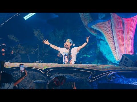Steve Aoki @ Tomorrowland Brasil, 2025