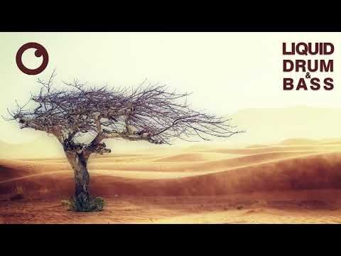 Liquid Drum & Bass Mix #59 : Dreazz [February 2023]