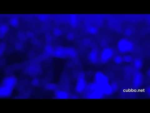 Videoset Act Morfogen Live @ Circus Nation 2011 (Granada/ES)