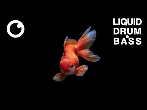 Liquid Drum & Bass Mix 2022 #54