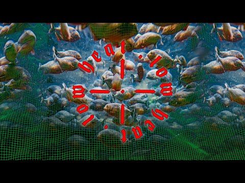 Boiler Room: Low Heat | DJ Taye
