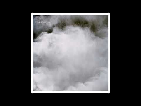 Swarm Intelligence - Against the Dying Light [VOILP01] (Full Album)