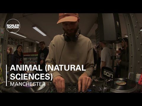 Animal (Natural Sciences) Boiler Room Manchester DJ Set