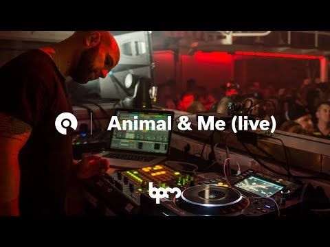 Animal & Me @ BPM Festival Portugal 2017 (BE-AT.TV)
