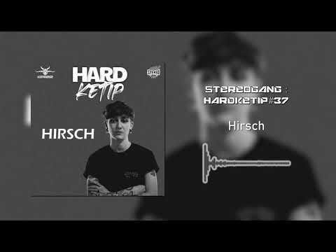 STEREOGANG : HARDKETIP#37 Hirsch