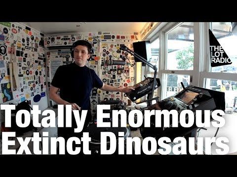 Totally Enormous Extinct Dinosaurs @ The Lot Radio (August 3, 2018)