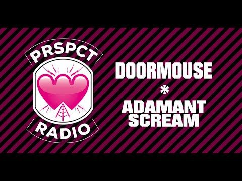 PRSPCT Radio live from Wunderbar w/ Doormouse & Adamant Scream