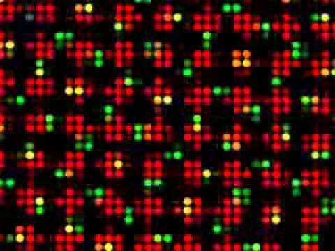 Rolando - Exclusive DJ Mix for RTS.FM