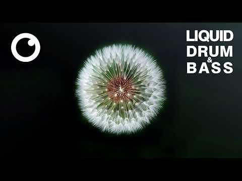 Liquid Drum & Bass Mix 2021 #51
