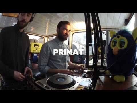 Primat • Cosmonostro Takeover • Le Mellotron