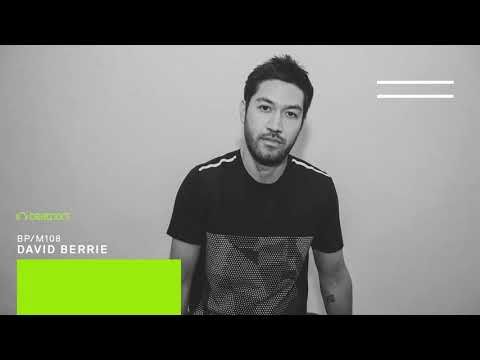 David Berrie - Beatport Mix 108