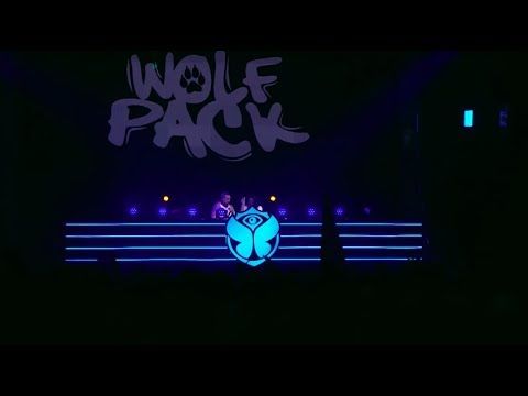 Wolfpack | Tomorrowland Belgium 2018