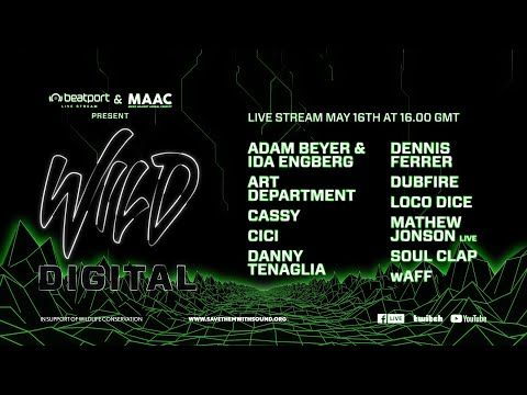 @Beatport x MAAC present Wild Digital - Part 1 | Beatport Live