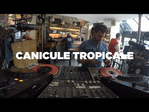 Canicule Tropicale • Vinyl Set • Le Mellotron