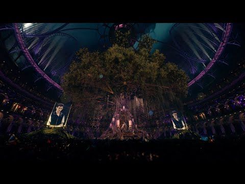 Special gift: Lost Frequencies at Tomorrowland 31.12.2020