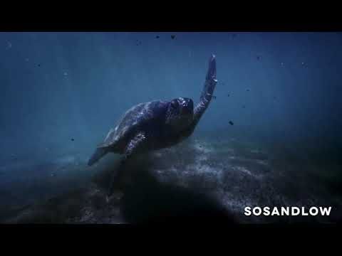 SOSANDLOW - El Viaje 01 (Audio+Video Mixtape)
