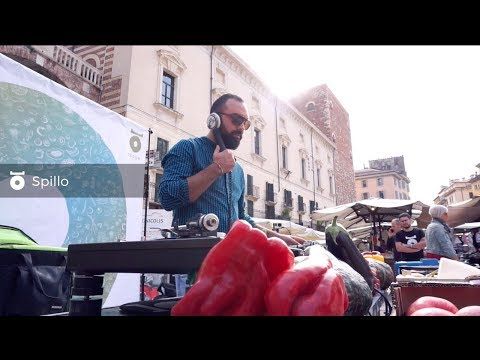 Spillo in 180gr - Verona, Sept 2017