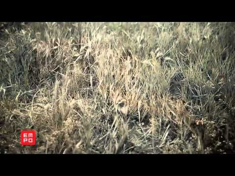 EMPO TV  #244 PARTE 2