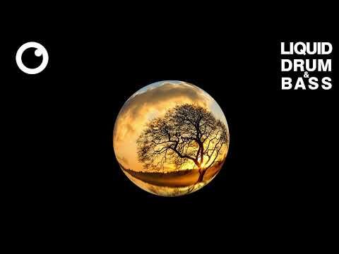Liquid Drum & Bass Mix #57 by Dreazz [December 2022]
