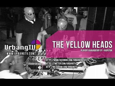 The Yellow Heads @ Playoff Guavaberry RD by +Rapután