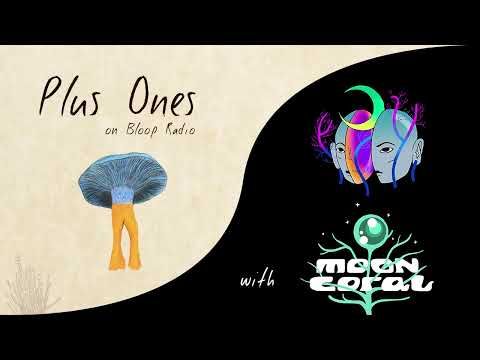Plus Ones Specials w/ Moon Coral & CJ - 16.01.21