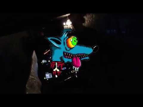 Talkbox @DIMENS10 | Dogs Hard Party - Sleep Over