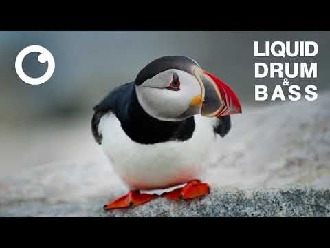 Liquid Drum & Bass Mix 2021 #50