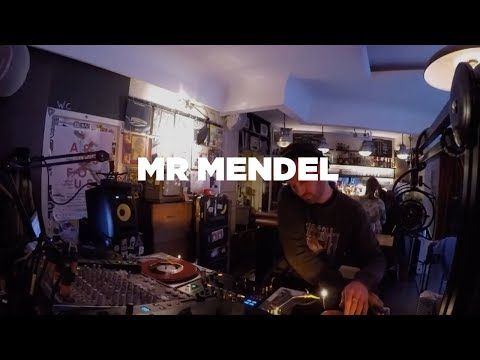 Mr Mendel • DJ Set • Le Mellotron