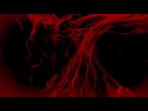 RVV Perception 2 - Umwelt & Lola Haze