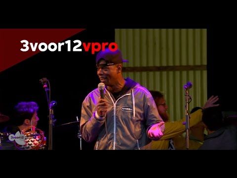 De Into The Great Wide Open 2015 O-Dog Special