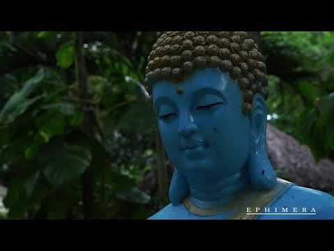 Jose Noventa:  Løst Rhythm online - Jose Noventa x Hotel Divo - Riviera Maya 🌴