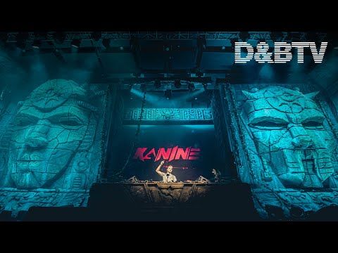 Kanine - D&BTV x Let It Roll Winter 2020 (DJ Set)
