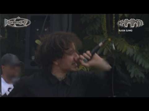 Alex Wilcox (live) @ Dekmantel Festival, 2026