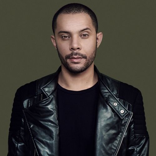 Wildstylez